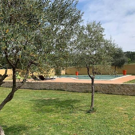 Loue Studio Dans Une Villa Avec Piscine Terrasse Saint-Theodorit 外观 照片