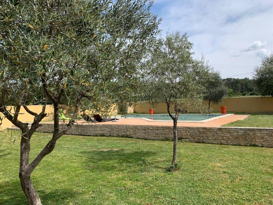 Loue Studio Dans Une Villa Avec Piscine Terrasse Saint-Theodorit 外观 照片